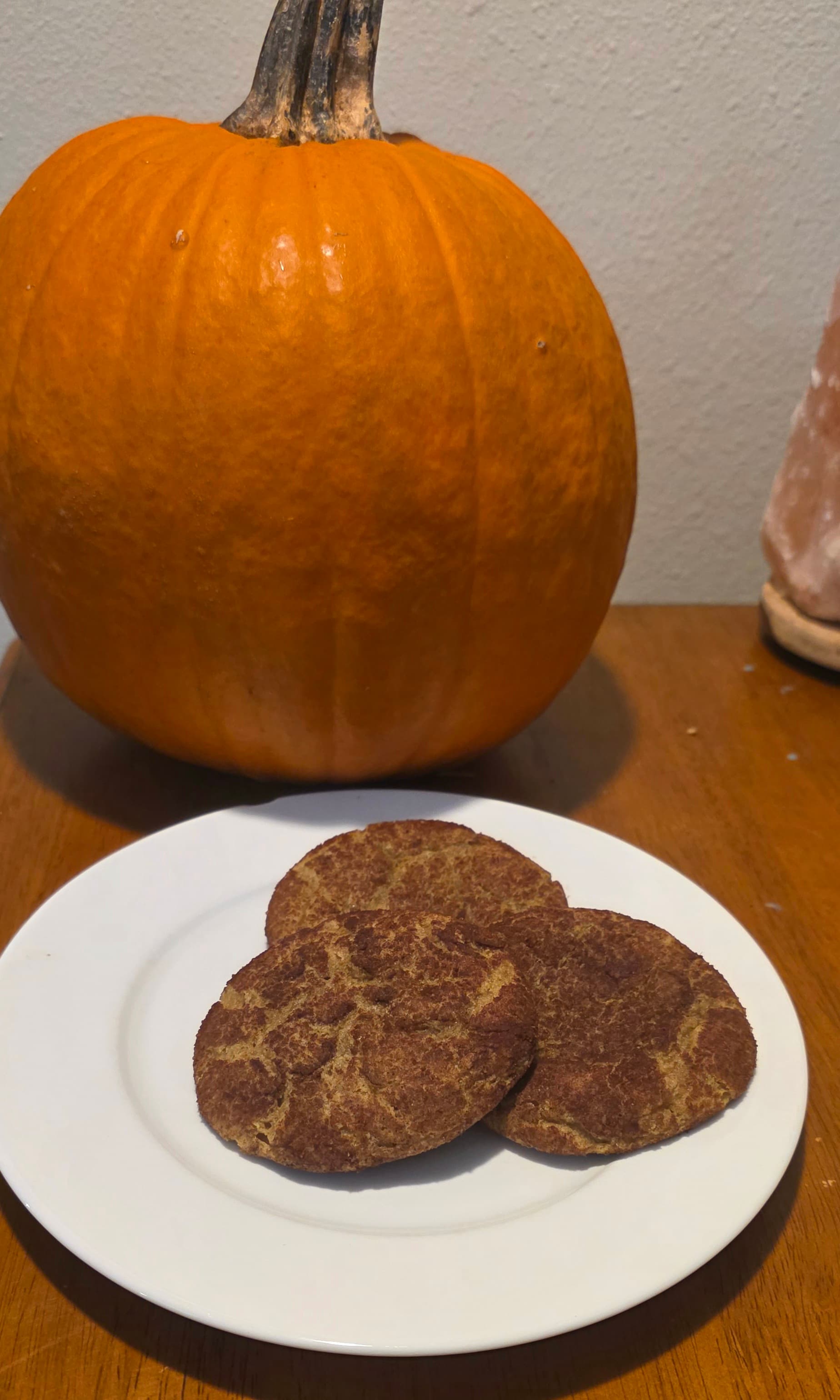 6-Pack - Pumpkin Snickerdoodle